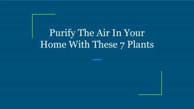 Purify The Air In Your Home With These 7 Plants