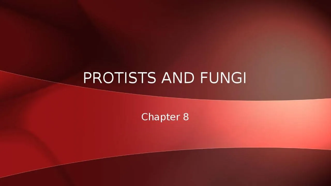 PPT-Chapter 8 Protists and