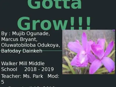 Gotta Grow!!! By : Mujib Ogunade, Marcus Bryant, Oluwatobiloba Odukoya, Bafoday Dainkeh