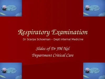 Respiratory Examination Slides of