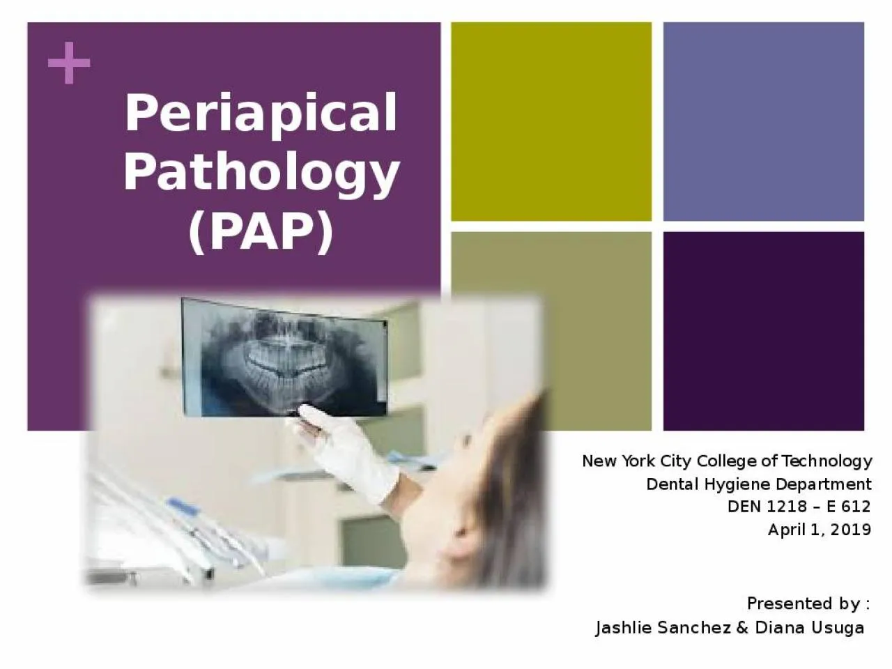 PPT-Periapical Pathology (PAP)