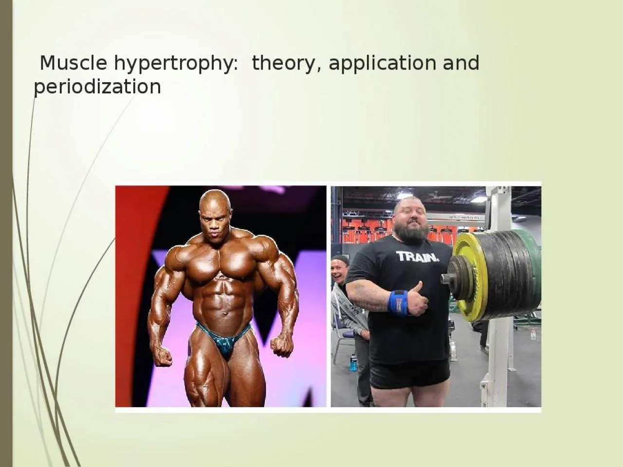 PPT-  Muscle hypertrophy:  theory, application and periodization