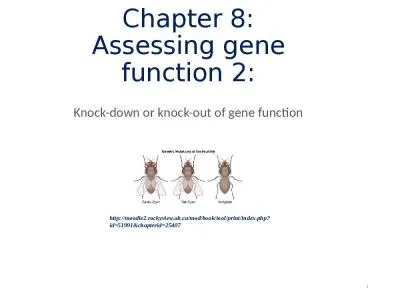 Chapter 8: Assessing gene function 2: