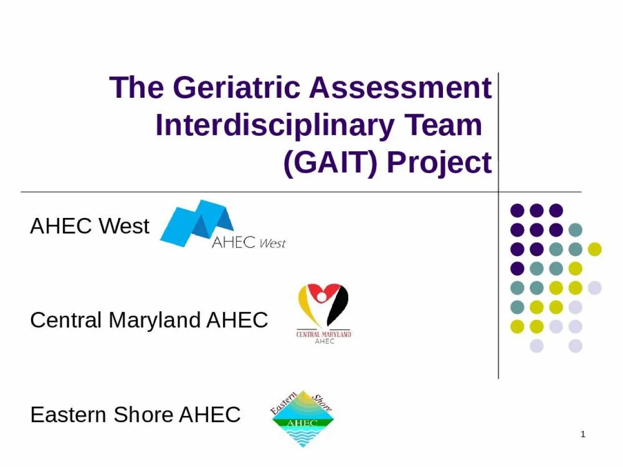 PPT-The Geriatric Assessment Interdisciplinary Team