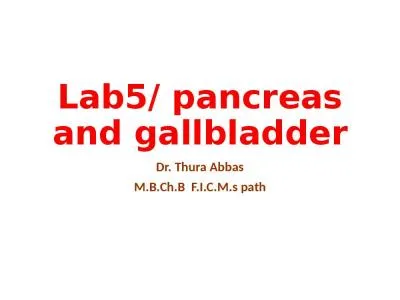 Lab5/ pancreas and gallbladder