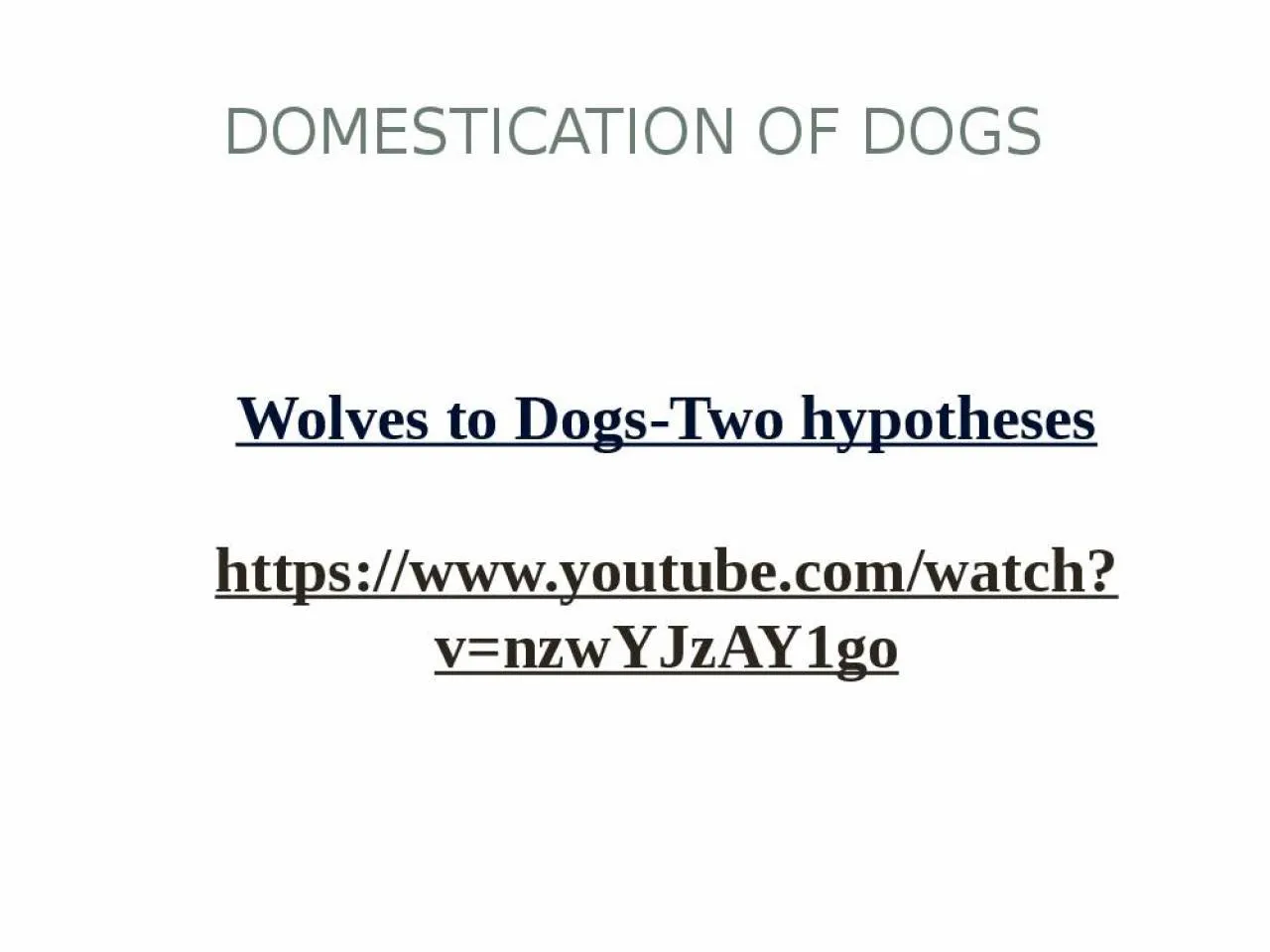 PPT-Domestication of Dogs Wolves to Dogs-Two hypotheses