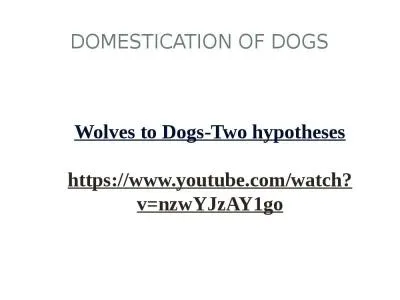 Domestication of Dogs Wolves to Dogs-Two hypotheses