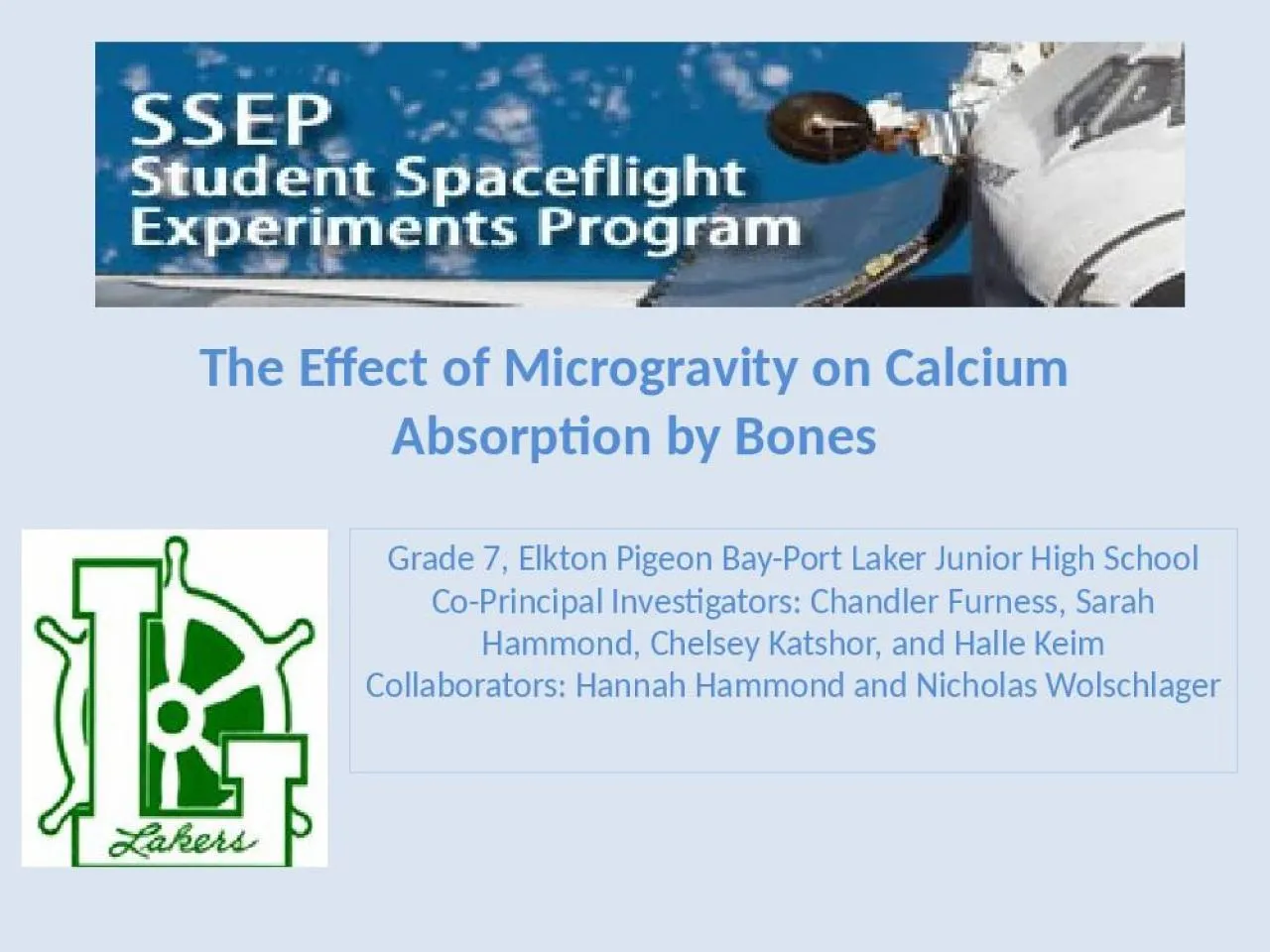 PPT-The Effect of Microgravity on Calcium Absorption by Bones