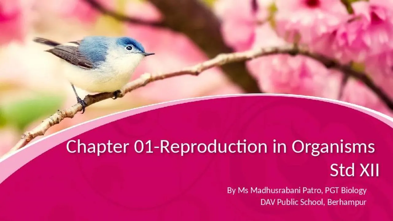 PPT-Chapter 01-Reproduction in Organisms