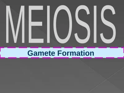 Gamete Formation  MEIOSIS
