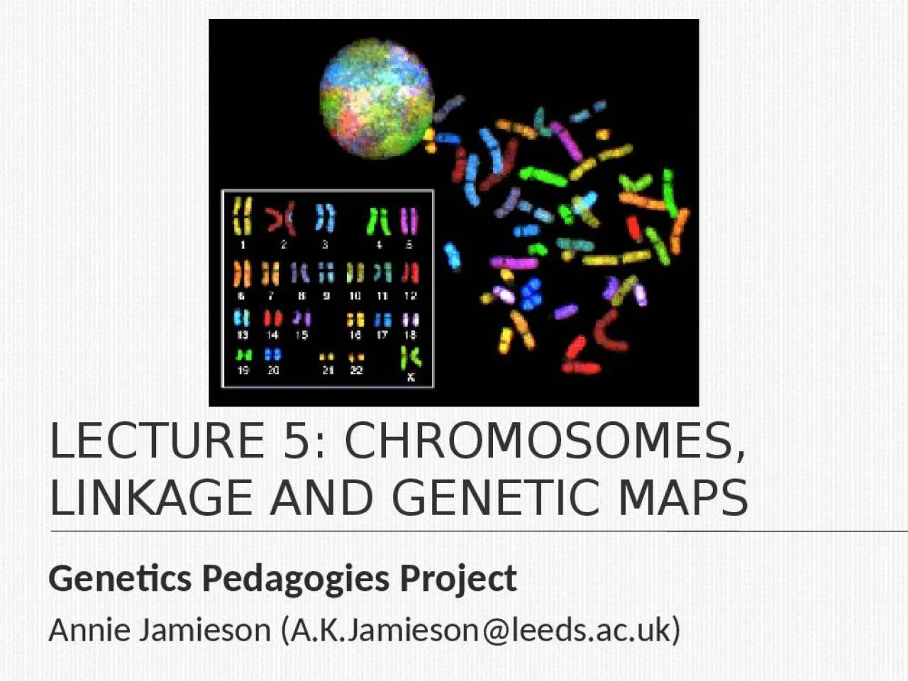 PPT-Lecture 5: Chromosomes, linkage and genetic maps