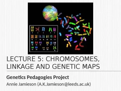 Lecture 5: Chromosomes, linkage and genetic maps