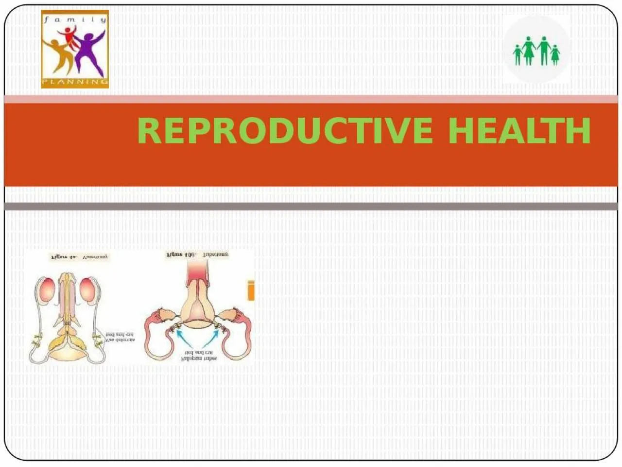 PPT-REPRODUCTIVE HEALTH REPRODUCTIVE