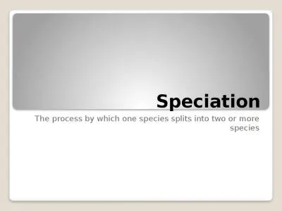 Speciation The process by which one species splits into two or more species