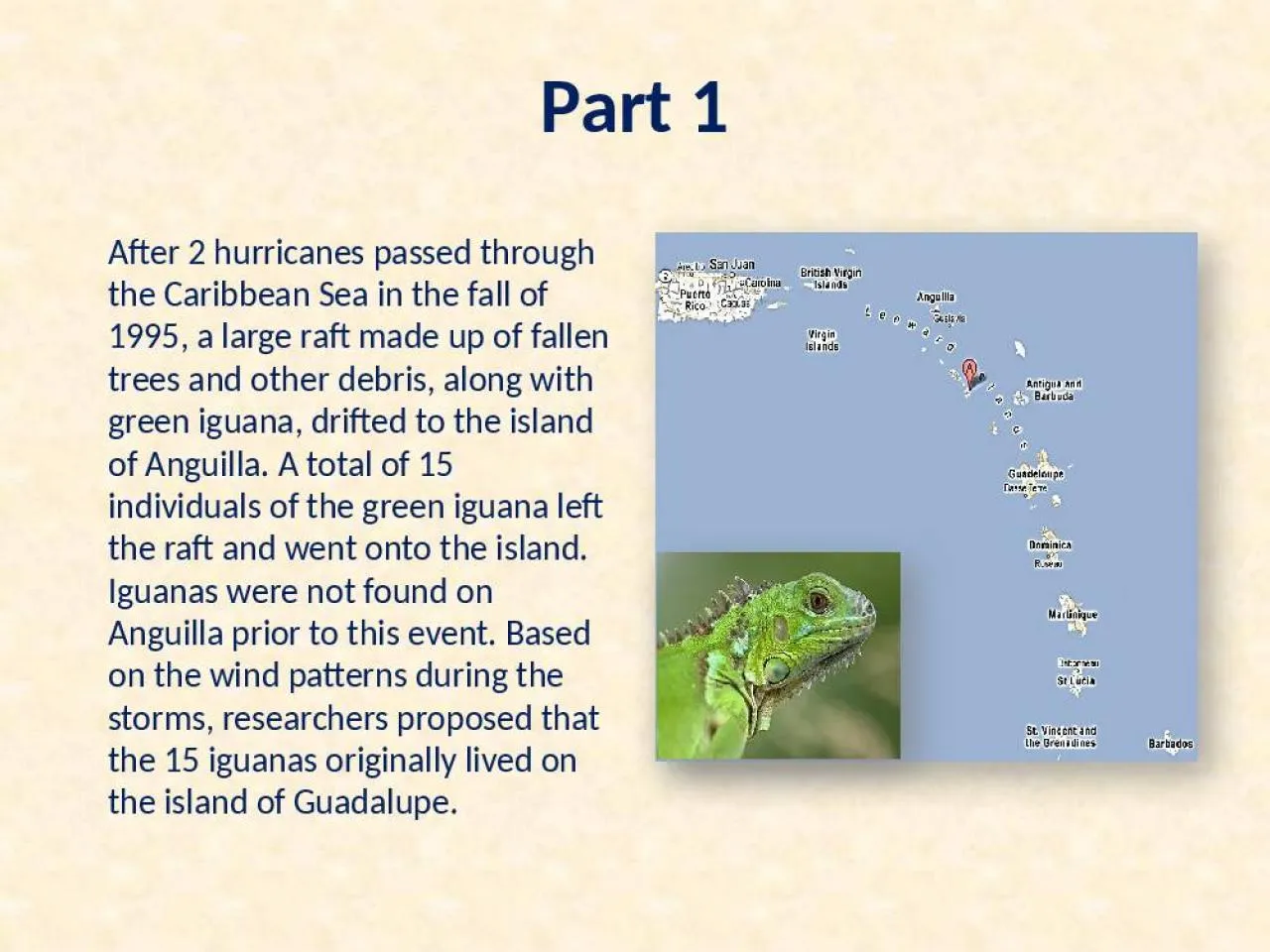 PPT-Part 1 After 2 hurricanes passed through the Caribbean Sea in the fall of 1995, a large