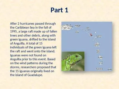 Part  1 After 2 hurricanes passed through the Caribbean Sea in the fall of 1995, a large raft made