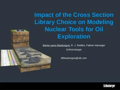 Impact of the Cross Section Library Choice on Modeling Nuclear Tools for Oil Exploration