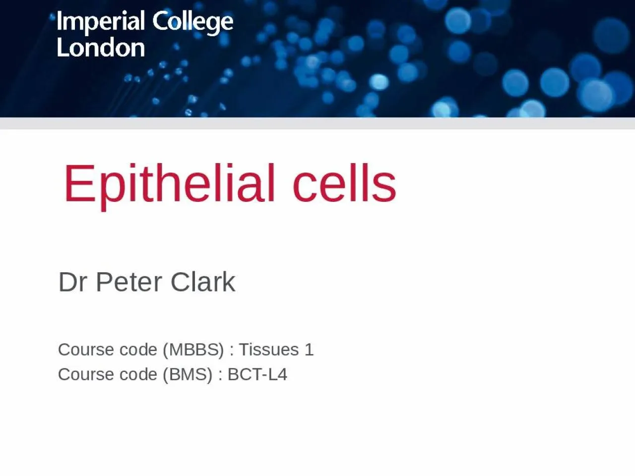 PPT-Epithelial cells Dr Peter Clark