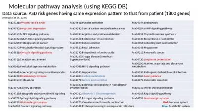 Molecular pathway analysis (using KEGG DB)