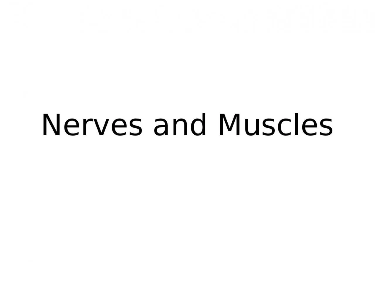 PPT-Nerves and Muscles The Nerve