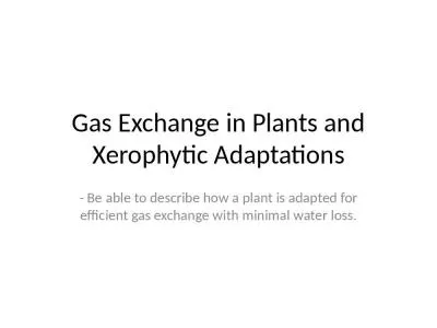 Gas Exchange in Plants and