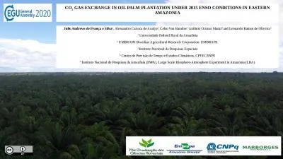 CO 2  GAS EXCHANGE IN OIL PALM PLANTATION UNDER 2015 ENSO CONDITIONS IN EASTERN AMAZONIA