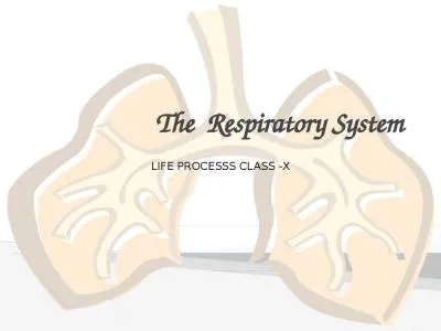 LIFE PROCESSS CLASS -X The  Respiratory System