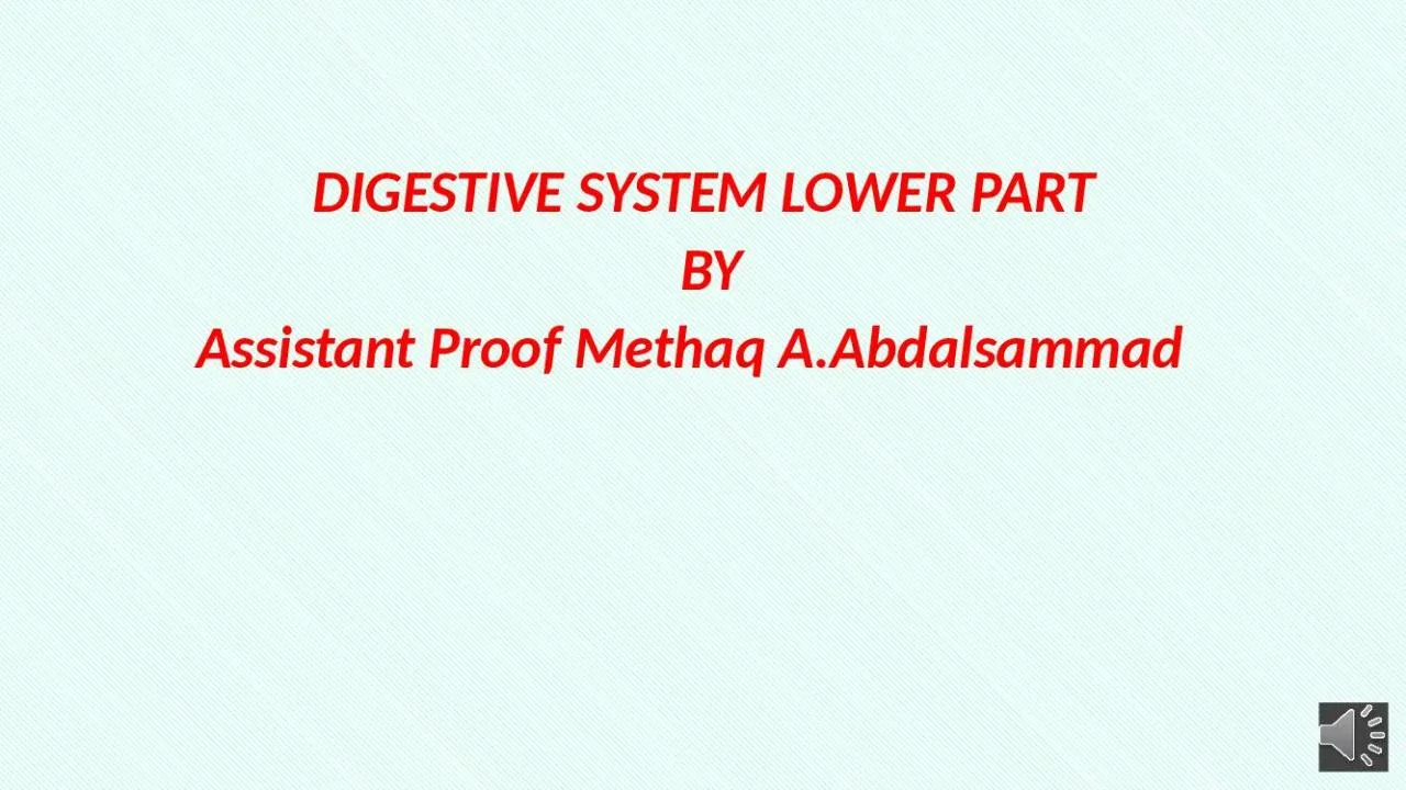 PPT-DIGESTIVE SYSTEM LOWER PART