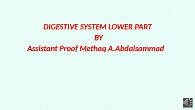 DIGESTIVE  SYSTEM LOWER PART