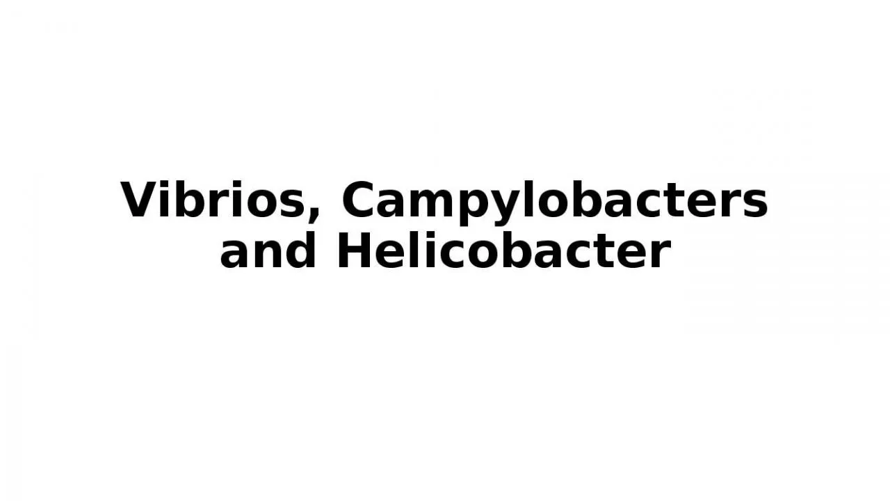 PPT-Vibrios , Campylobacters and Helicobacter