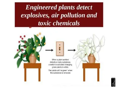 SOURCE: “Re-engineered plants may root out terrorism threats”, Denver Post, 1/27/11.