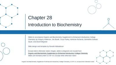 Chapter 28 Introduction to Biochemistry