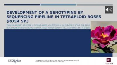 Development of a Genotyping by Sequencing Pipeline in Tetraploid Roses (