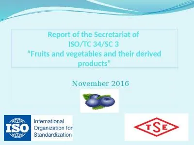 Report  of  the   Secretariat