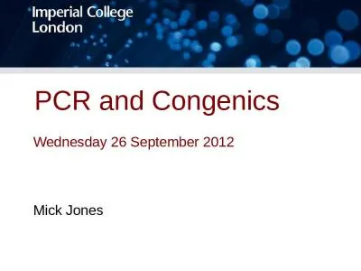 PCR and  Congenics Wednesday