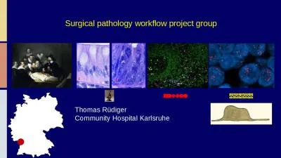 Surgical pathology workflow project group