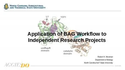 Application of BAG Workflow to Independent Research Projects