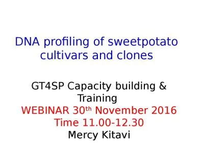 DNA profiling of  sweetpotato