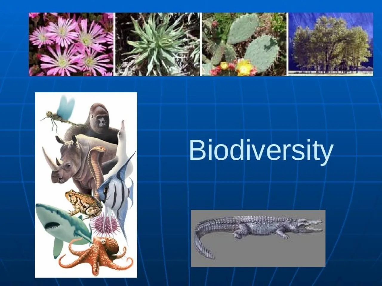 PPT-Biodiversity Estimate over 1.5 million species