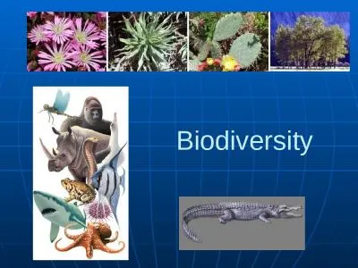 Biodiversity Estimate over 1.5 million species