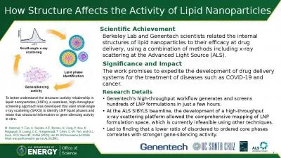 To better understand the structure–activity relationship in liquid nanoparticles (LNPs), a seamle