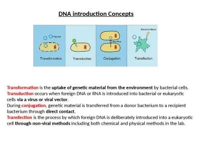 Transformation  is the  uptake of genetic material from the environment