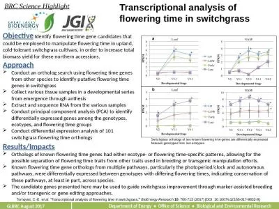 Transcriptional analysis of flowering time in