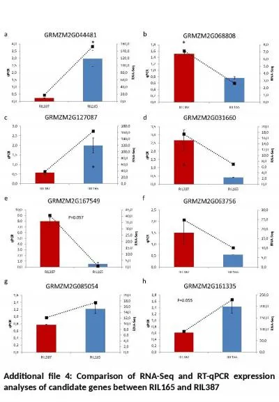 Additional file  4:  Comparison of RNA-