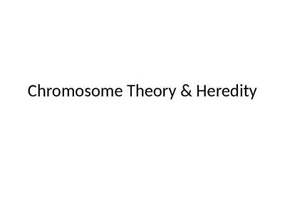 Chromosome Theory & Heredity