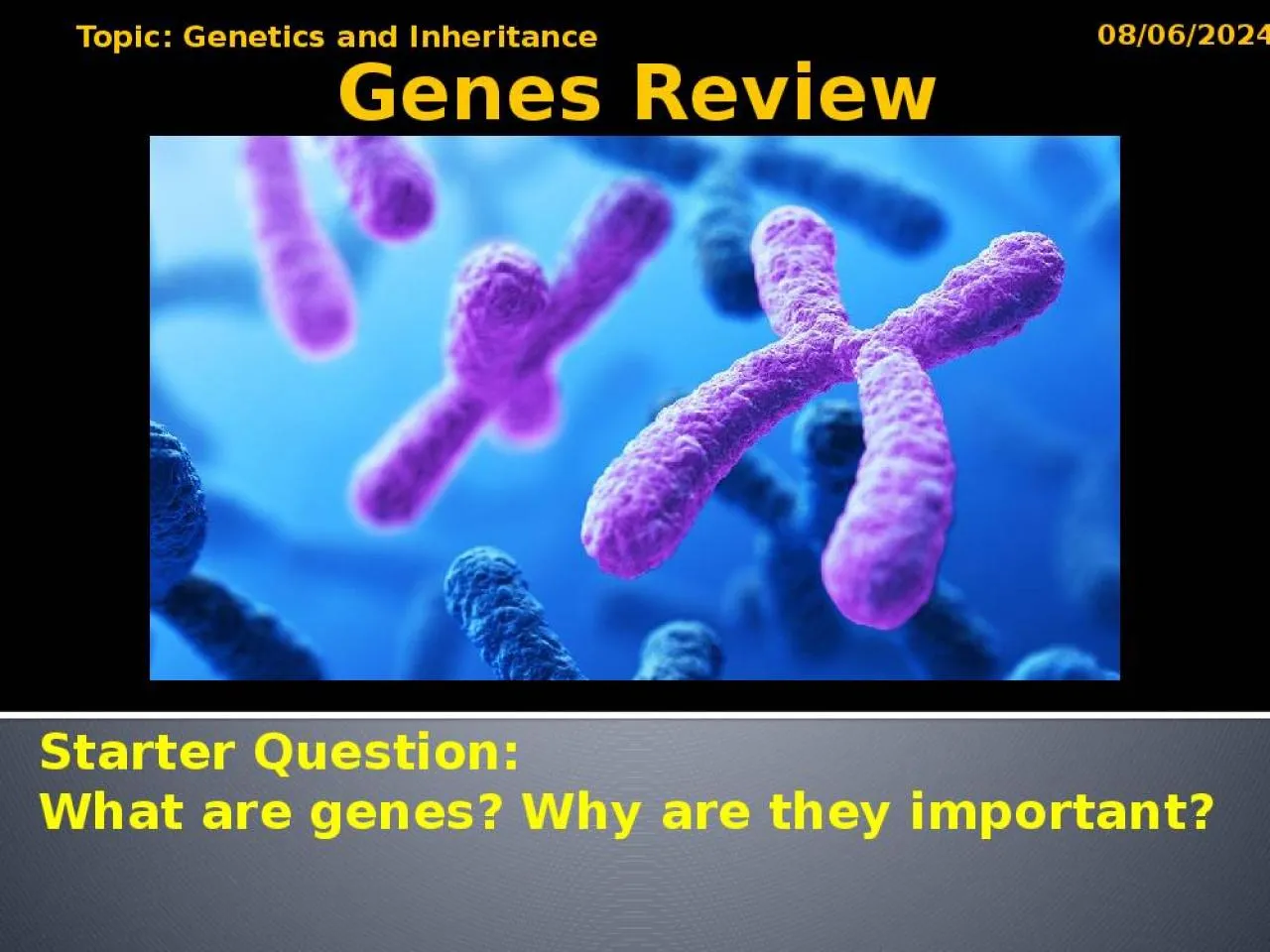 PPT-Starter Question: What are genes? Why are they important?