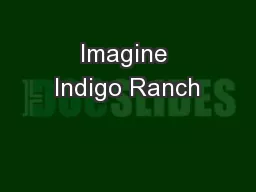 Imagine Indigo Ranch