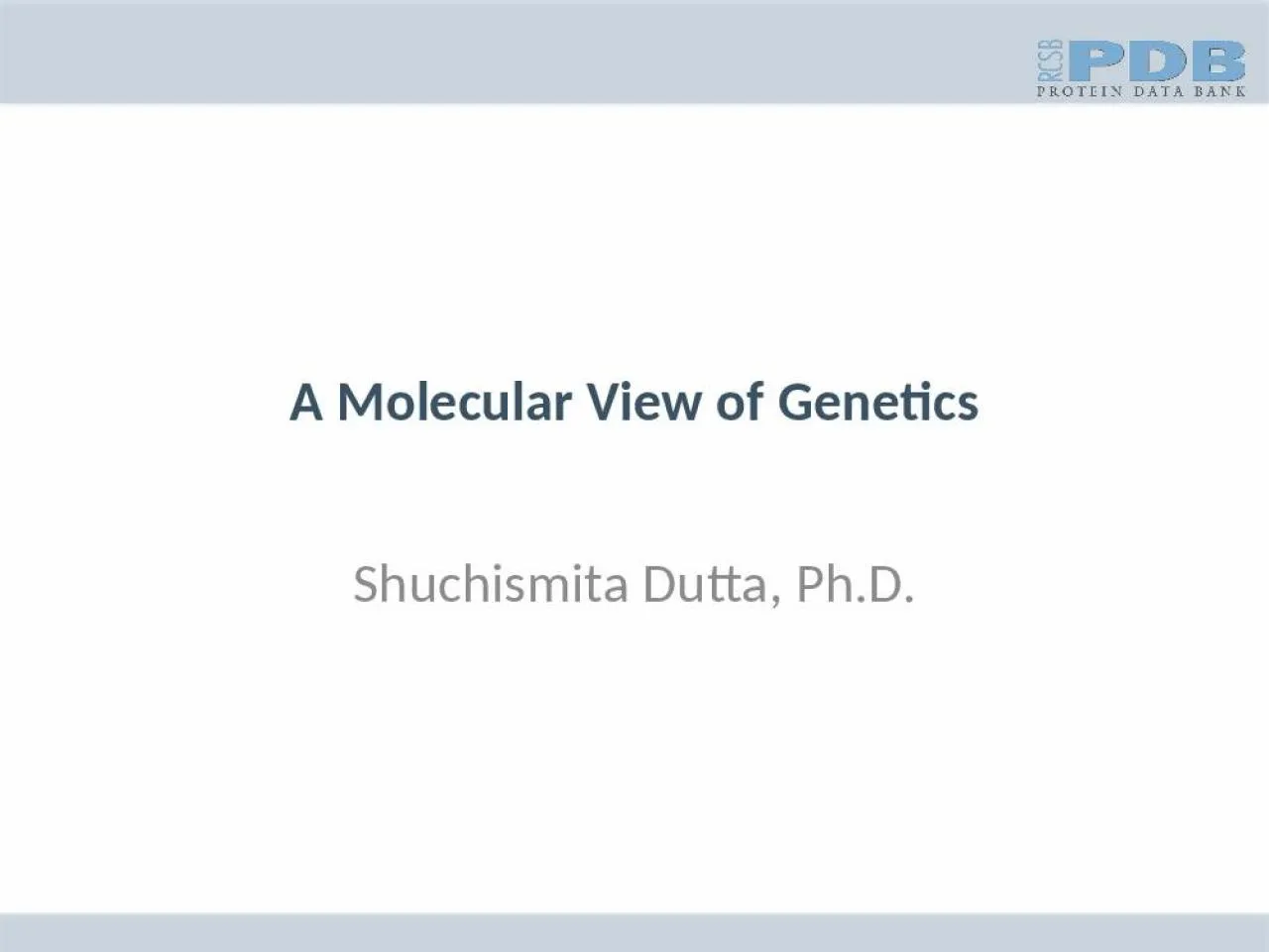 PPT-A Molecular View of Genetics