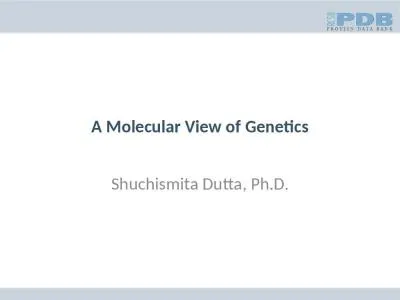 A Molecular View of Genetics