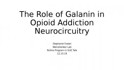 The Role of Galanin in Opioid Addiction Neurocircuitry